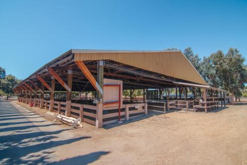 Covered Arena With Mirrors Corner View