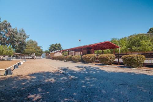 Dressage Arena View Deck