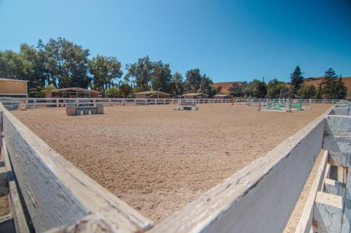 Fenced Jump Arena 