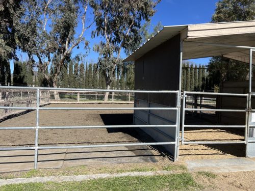 Large Stall Paddocks