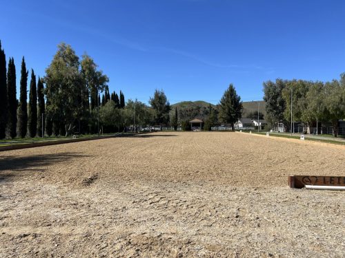 Official Size Dressage Court
