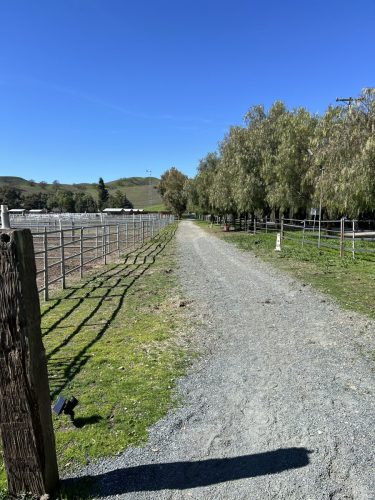 Trail Around The Property